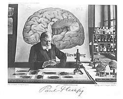 Leipzig Paul Flechsig